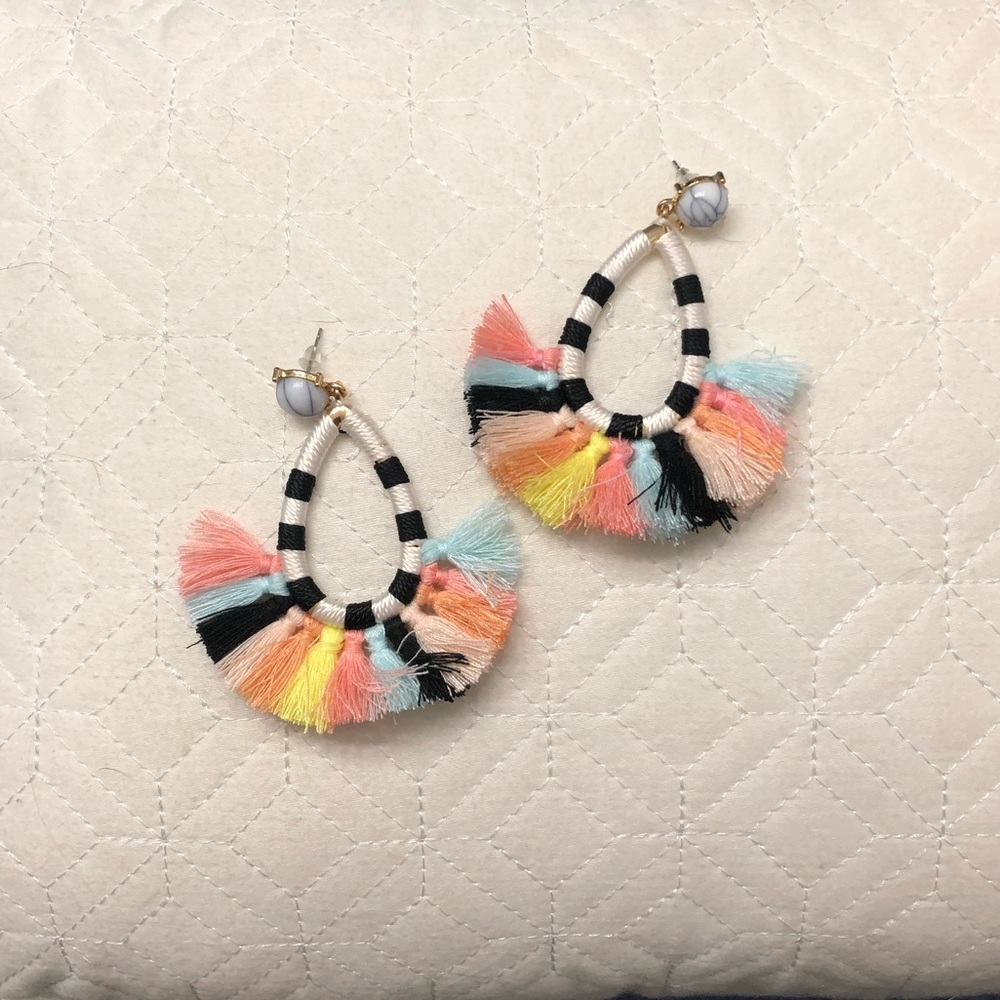 Tassel Earrings ✨ NEVER WORN